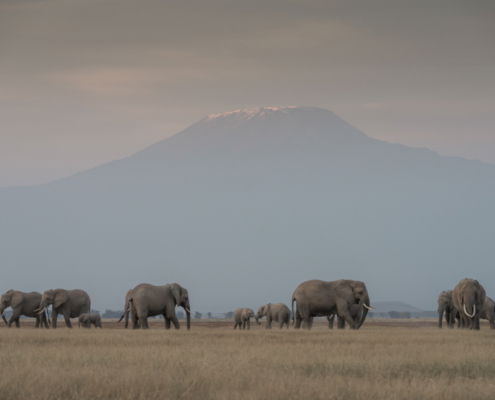 Fotoreis Kenia Safari - ©Jan Vermeer
