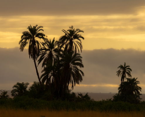 Fotoreis Kenia Safari - ©Jan Vermeer
