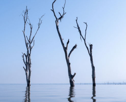 Fotoreis Kenia Safari - ©Jan Vermeer