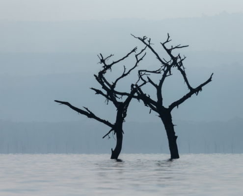 Fotoreis Kenia Safari - ©Jan Vermeer