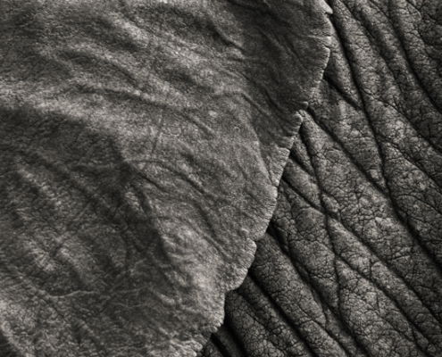 Fotoreis Kenia Safari - ©Jan Vermeer