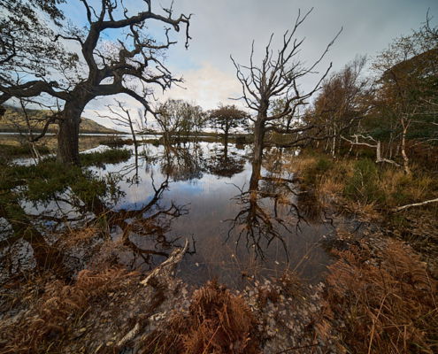Fotoreis Zuidwest Ierland - ©Charles Borsboom