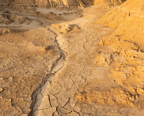 ©Jan Vermeer Fotoreis Baskenland & Bardenas Reales - ©Jan Vermeer