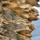 ©Jan Vermeer Fotoreis Baskenland & Bardenas Reales - ©Jan Vermeer