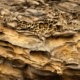 ©Jan Vermeer Fotoreis Baskenland & Bardenas Reales - ©Jan Vermeer