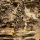 ©Jan Vermeer Fotoreis Baskenland & Bardenas Reales - ©Jan Vermeer