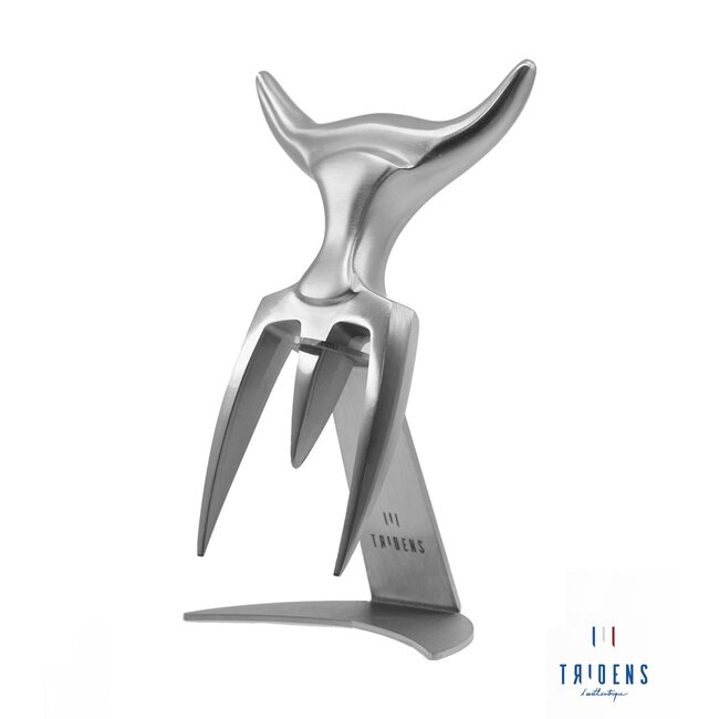 Tridens Brushed Fork In Stainless Steel holder