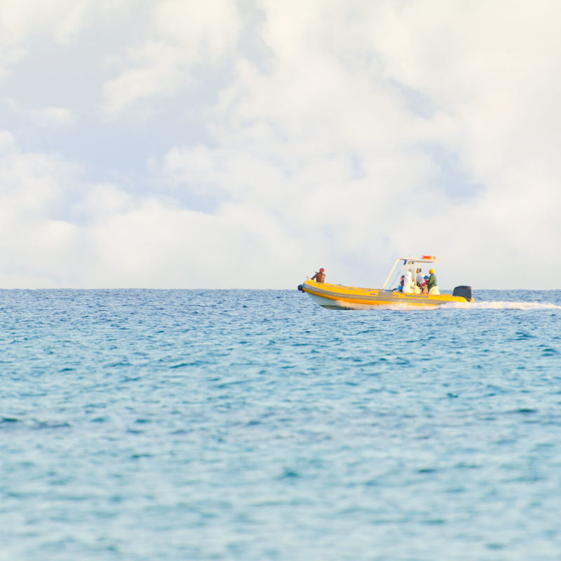 Inflatable boat in the sea