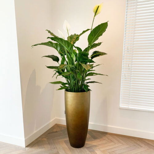 DUOO grote gouden design vaas 95cm