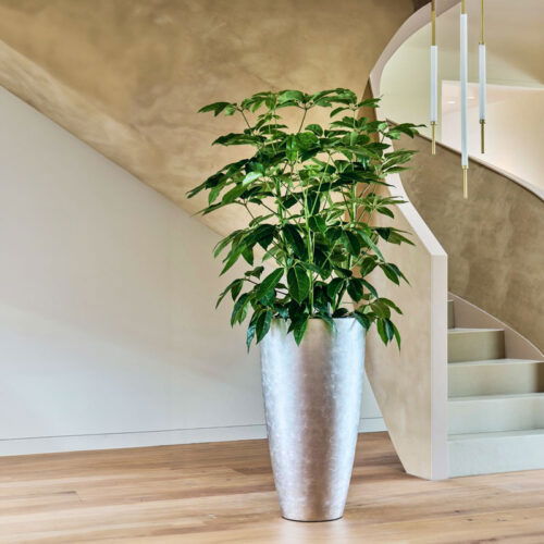 MAXIM hoge vaas zilver champagne XL voor binnen 90cm