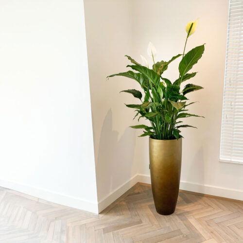 DUOO grote gouden design vaas 95cm