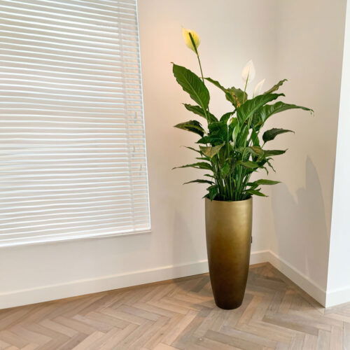 DUOO grote gouden design vaas 95cm
