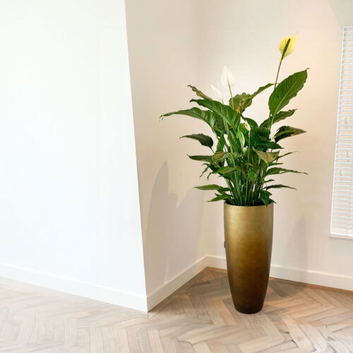 DUOO grote gouden design vaas 95cm