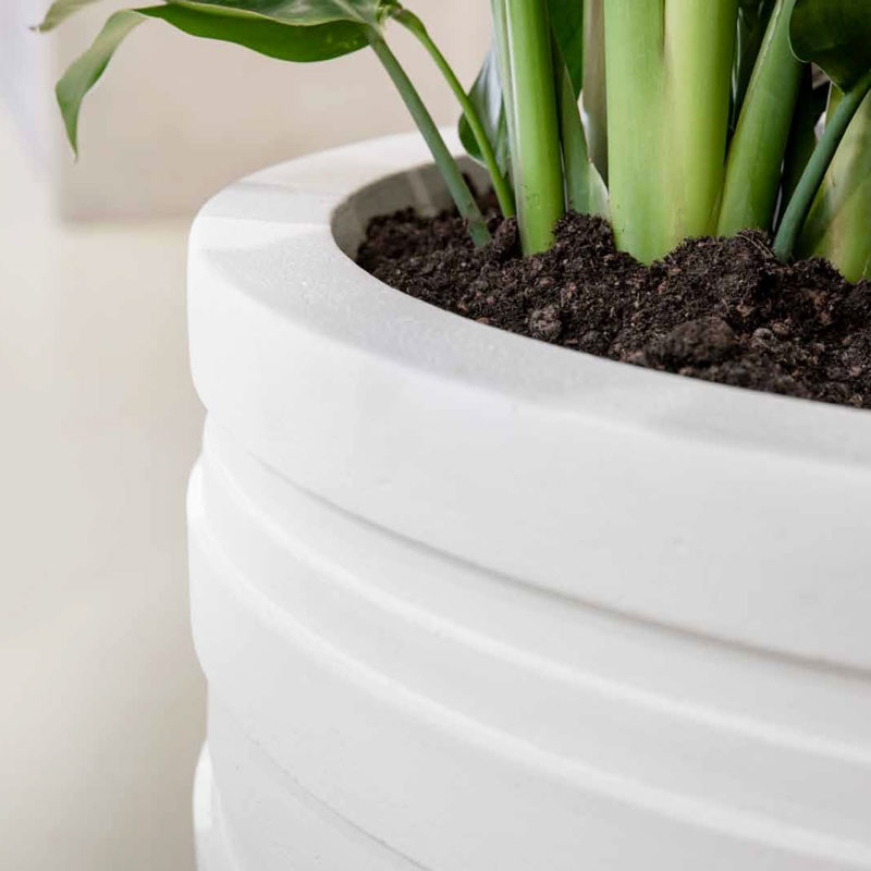 kunstmest Kenmerkend Kritisch Grote witte vaas, bloempot of plantenbak - Groot wit voor binnen en buiten!