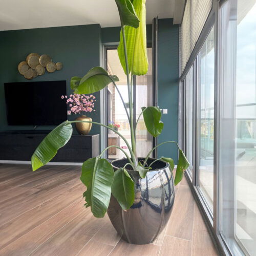 CASSIUS grote metallic zwarte bloempot keramieken plantenpot 55cm