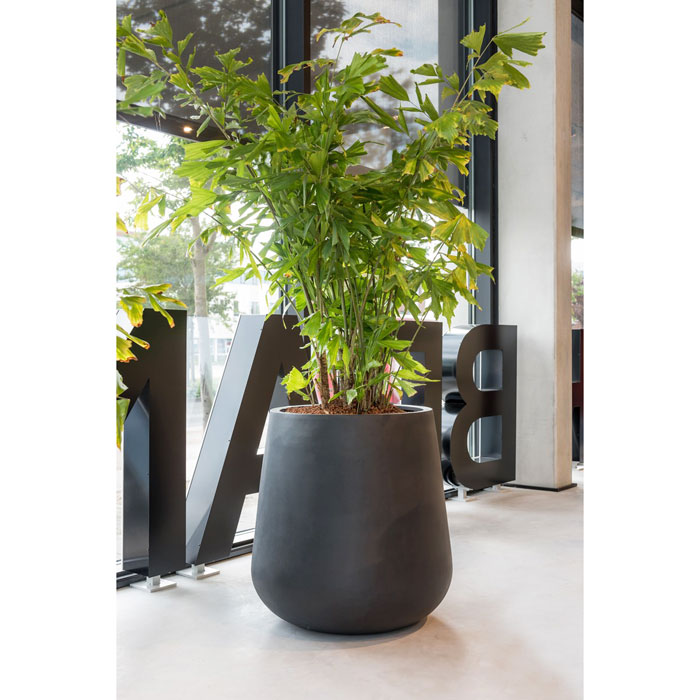 ERAA grote plantenpot 46cm - Grote bloempot, hoge vaas of XL plantenbak > Vaas