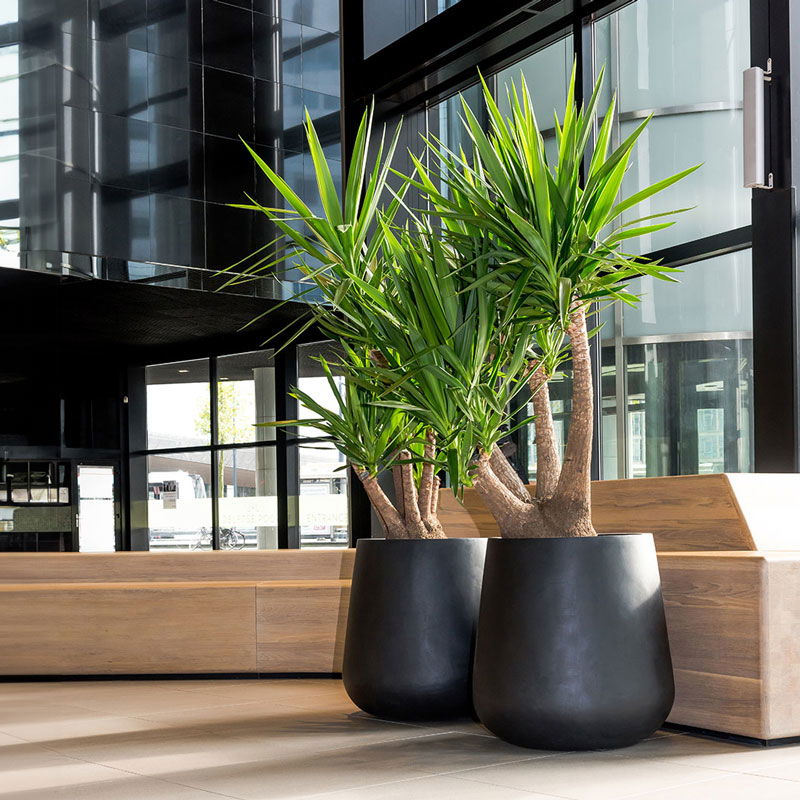 ERAA hoge zwarte XL bloempot 68cm