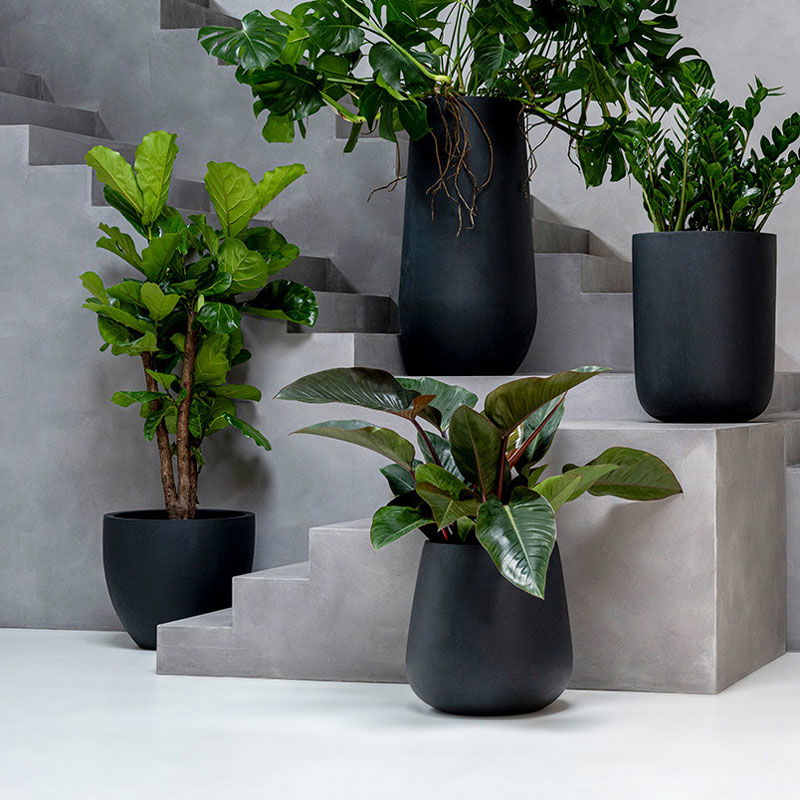 ERAA hoge zwarte XL bloempot 68cm