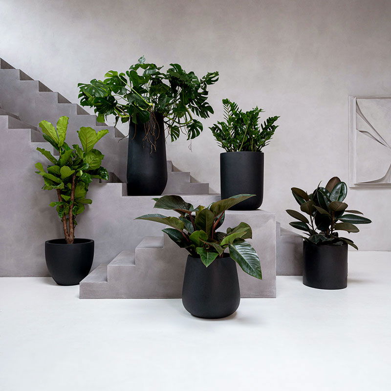 ERAA hoge zwarte XL bloempot 68cm