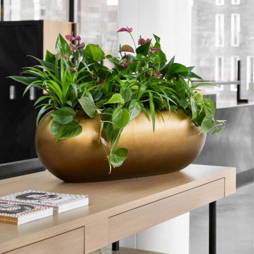 MAXIM ovale bloempot plantenbak goud brons 56cm breed