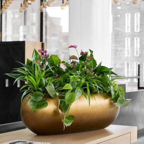 MAXIM ovale bloempot plantenbak goud brons 56cm breed