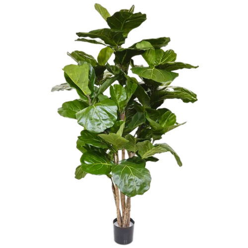 Grote FICUS LYRATA kunstplant tabaksplant brandvertragend 170cm