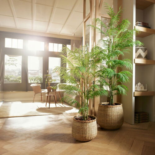 Grote KUNSTPALM CHAMAEDOREA dwergpalm kunstplant 180cm