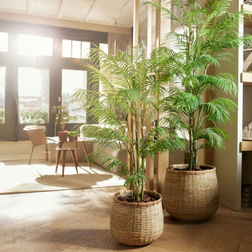 Grote KUNSTPALM CHAMAEDOREA dwergpalm kunstplant 180cm