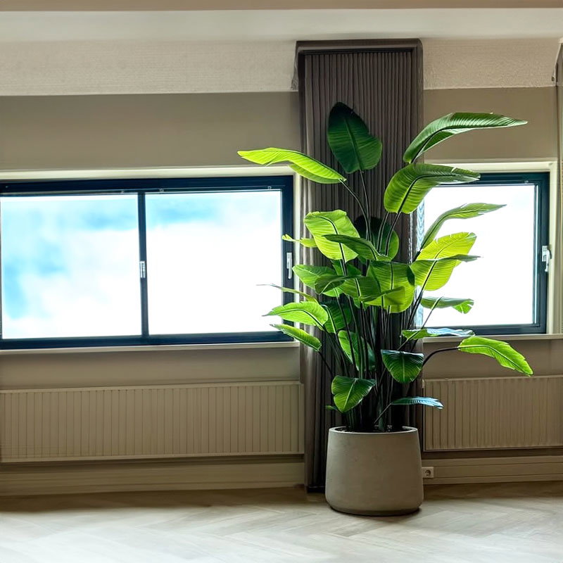 Kunstplant STRELITZIA grote kamerplant 235cm