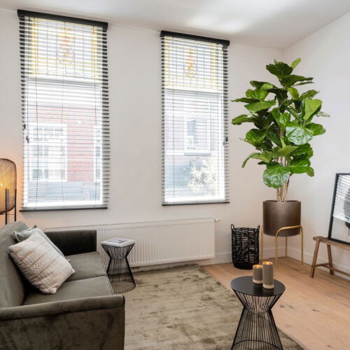 Grote FICUS LYRATA kunstplant tabaksplant brandvertragend 170cm