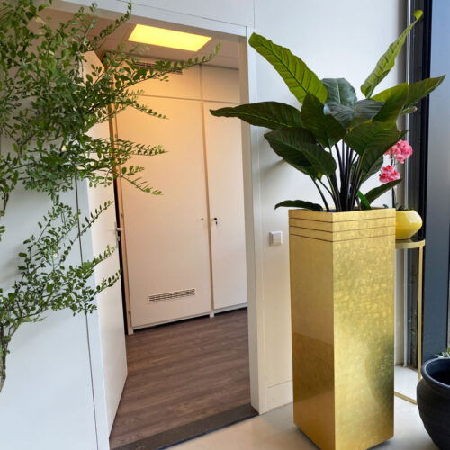 Kunstplant STRELITZIA grote kamerplant 135cm