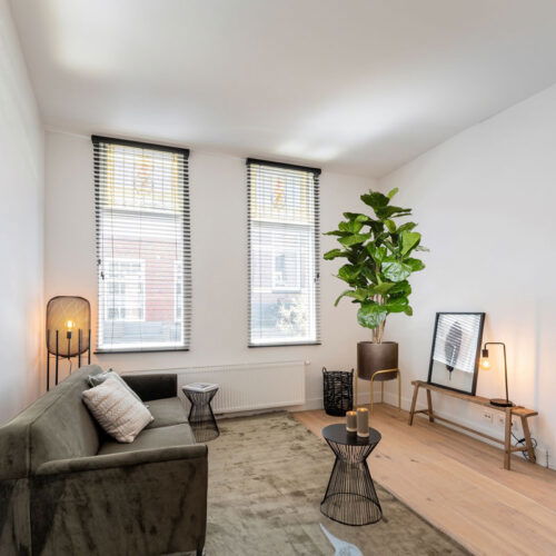 Grote FICUS LYRATA kunstplant tabaksplant brandvertragend 170cm