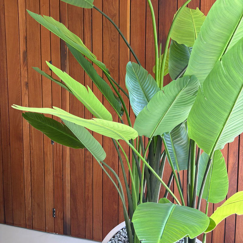 Kunstplant STRELITZIA grote kamerplant 180cm