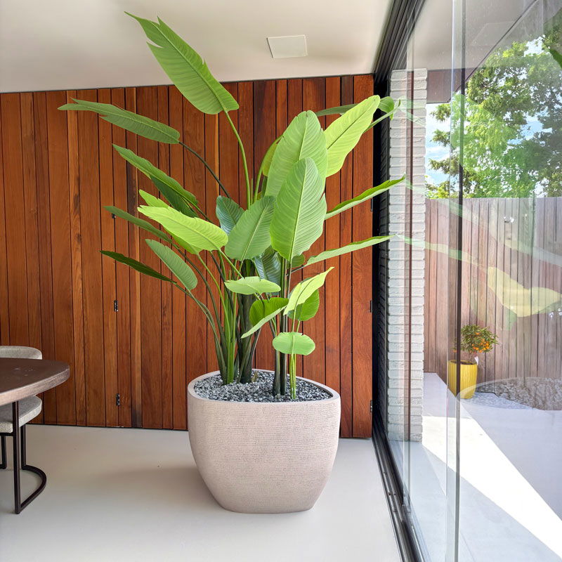 Kunstplant STRELITZIA grote kamerplant 235cm