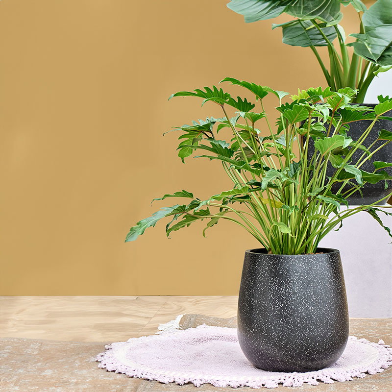 TERRAZZO hoge bloempotten plantenpotten mat zwart marmer voor buiten 40cm