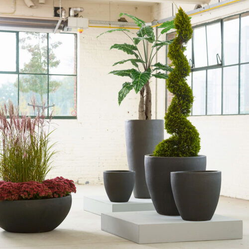Grote ALOCASIA kunstplant meerstammig 150cm