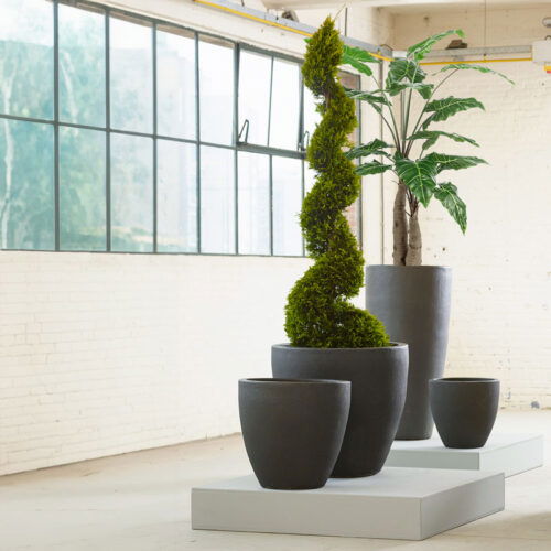 Grote ALOCASIA kunstplant meerstammig 150cm
