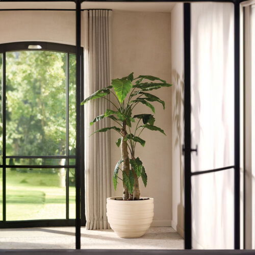 Grote XL ALOCASIA kunstboom meerstammig 180cm