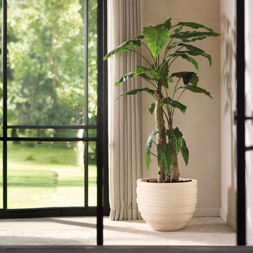 Grote XL ALOCASIA kunstboom meerstammig 180cm