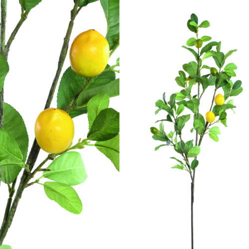 Leaves Plant green lemon spray L