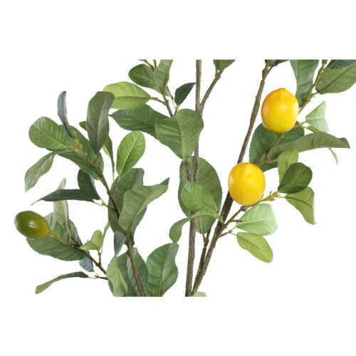 Leaves Plant green lemon spray L