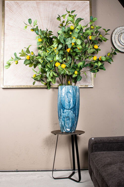 Leaves Plant green lemon spray L