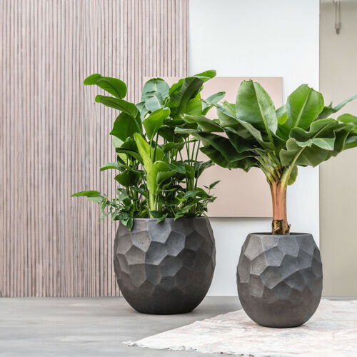 LUX XL design plantenbak bloempot groot antraciet zwart voor binnen 80cm breed