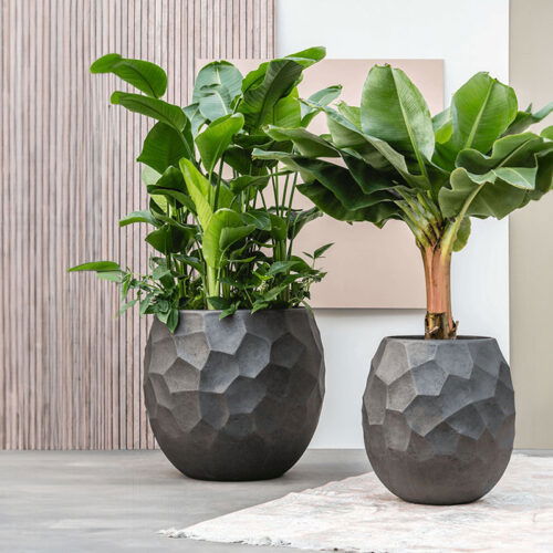 LUX XL design plantenbak bloempot groot antraciet zwart voor binnen 80cm breed