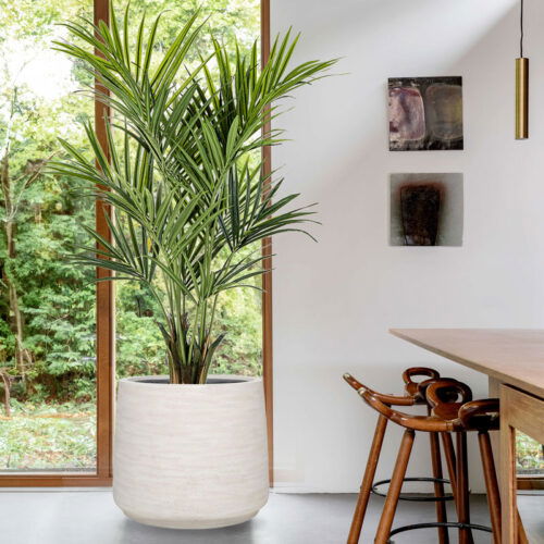Grote KENTIA PALM kunstplant HQ Howea kunstpalm met echt hout 172cm