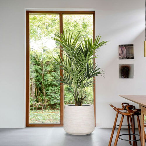 Grote KENTIA PALM kunstplant HQ Howea kunstpalm met echt hout 172cm