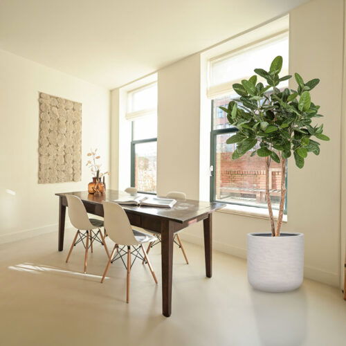 Kunstboom FICUS BENGHALENSIS AUDREY echte houten stammen kunstplant 200cm