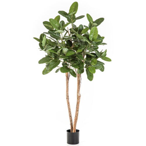 Kunstboom FICUS BENGHALENSIS AUDREY echte houten stammen kunstplant 200cm