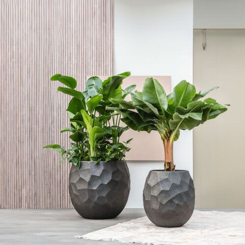 LUX XL design plantenbak bloempot groot antraciet zwart voor binnen 80cm breed