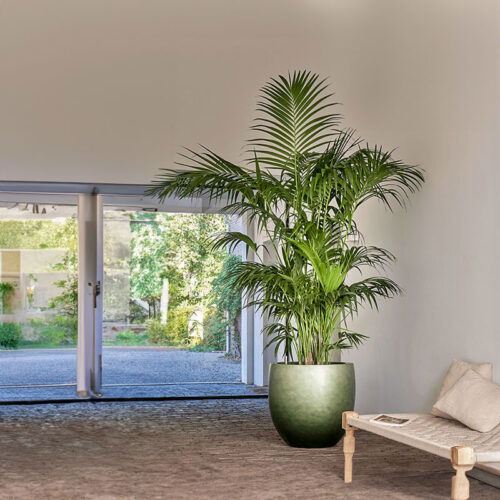 DUOO grote design bloempot groen voor binnen 54cm breed